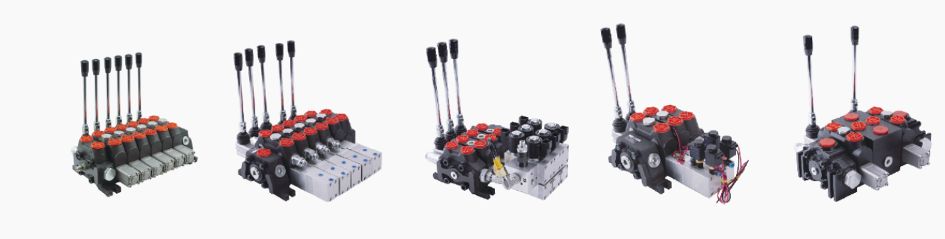 Vanne de commande directionnelle DCV200 Vanne hydraulique à commande électrohydraulique 3