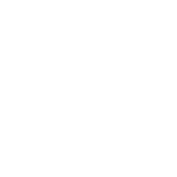 Municipal sanitation vehicles