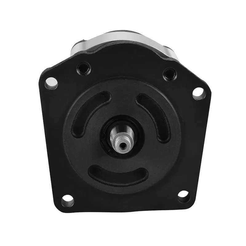 Wholesale Gear Pump​ Hydraulic Pump Wholesale - ChangJia 6