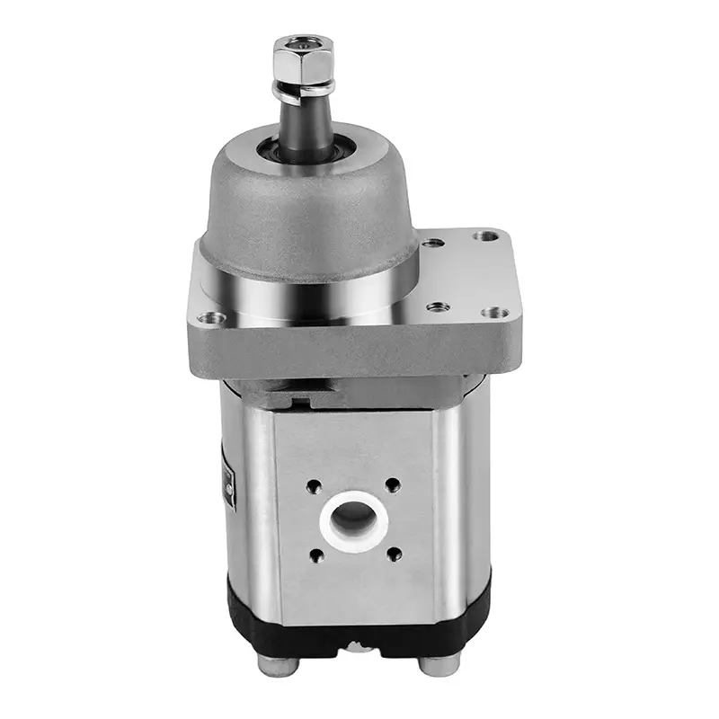 81.06650.6003 N1011005260 Hydraulic Pump Gear Pump For Man Customized Manufacturer ChangJia 1