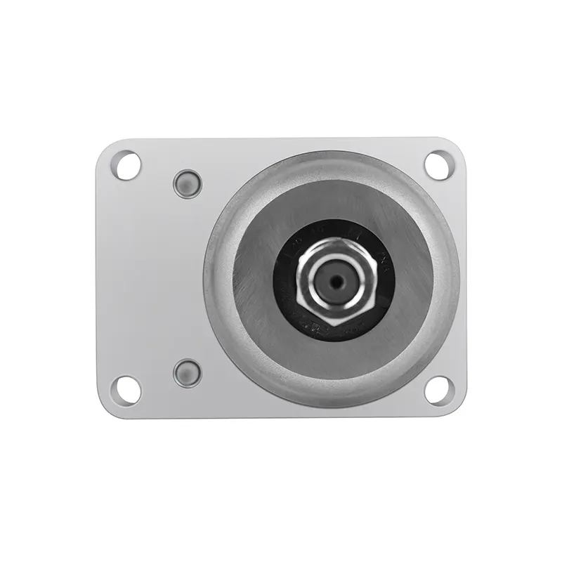 Best Gear Pump Manufacturer Gear Pump Wholesale - ChangJia 4