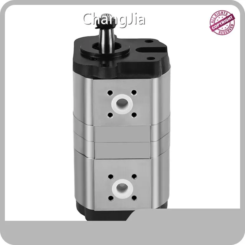 Wholesale Gear Pump Supplier Hydraulic Pump Wholesale - ChangJia 1