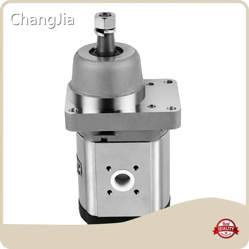 High Pressure Gear Pumps​ Gear Pump Wholesale - ChangJia 1