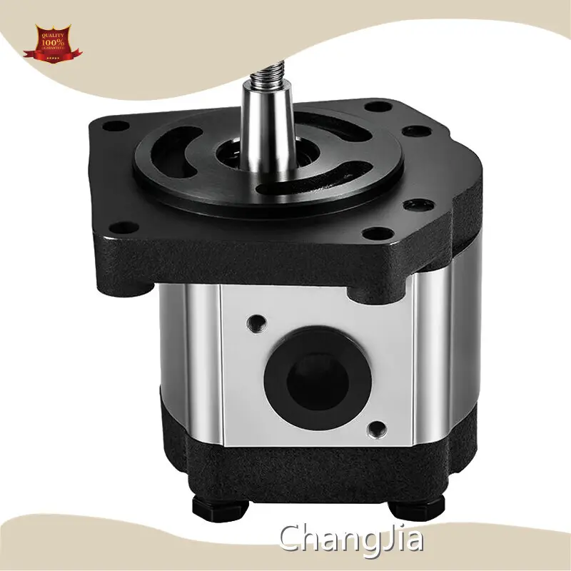Hydraulic Pump Manufacturer in China​ Hydraulic Pump Wholesale - ChangJia 1