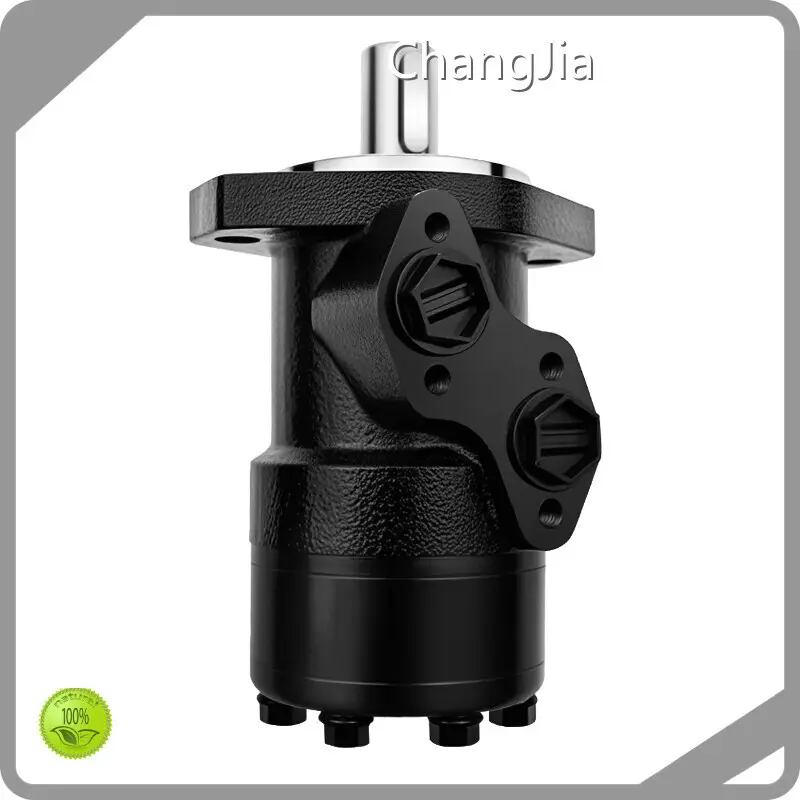 China High Speed Hydraulic Motor Factory Hydraulic Motor Wholesale - ChangJia 1