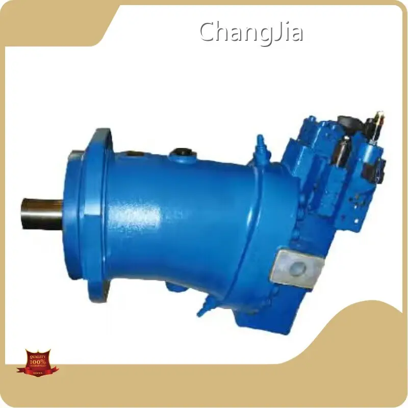 ChangJia High Pressure Hydraulic Pump​ High Pressure Hydraulic Pump​ with Good Price 1