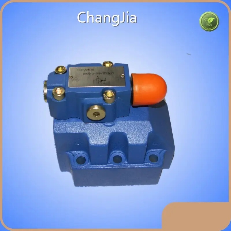 Hydraulic Valve China Hydraulic Relief Valve Supplier​ Factory 1