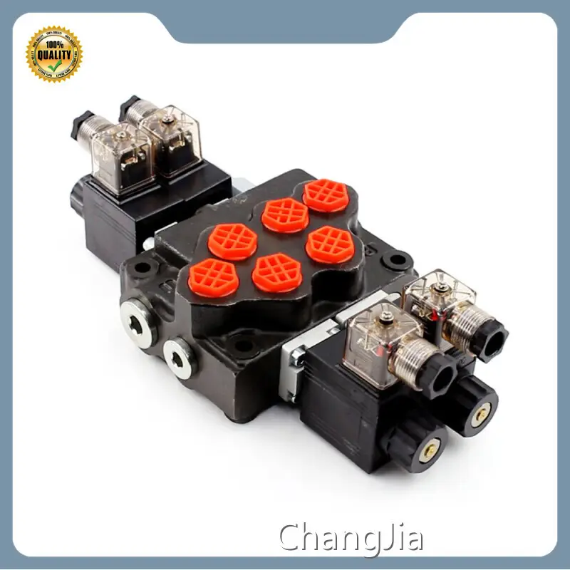 ChangJia Hydraulic Relief Valve Manufacturer​ Supplier 1