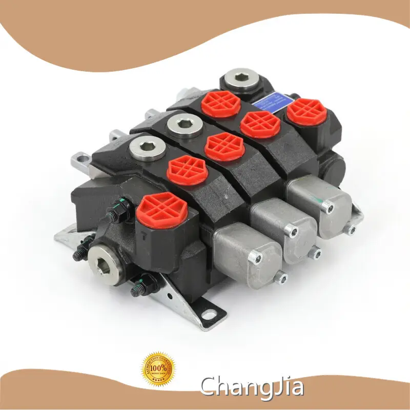 Wholesale Direction Valve Manufacture in China​ by ChangJia 1
