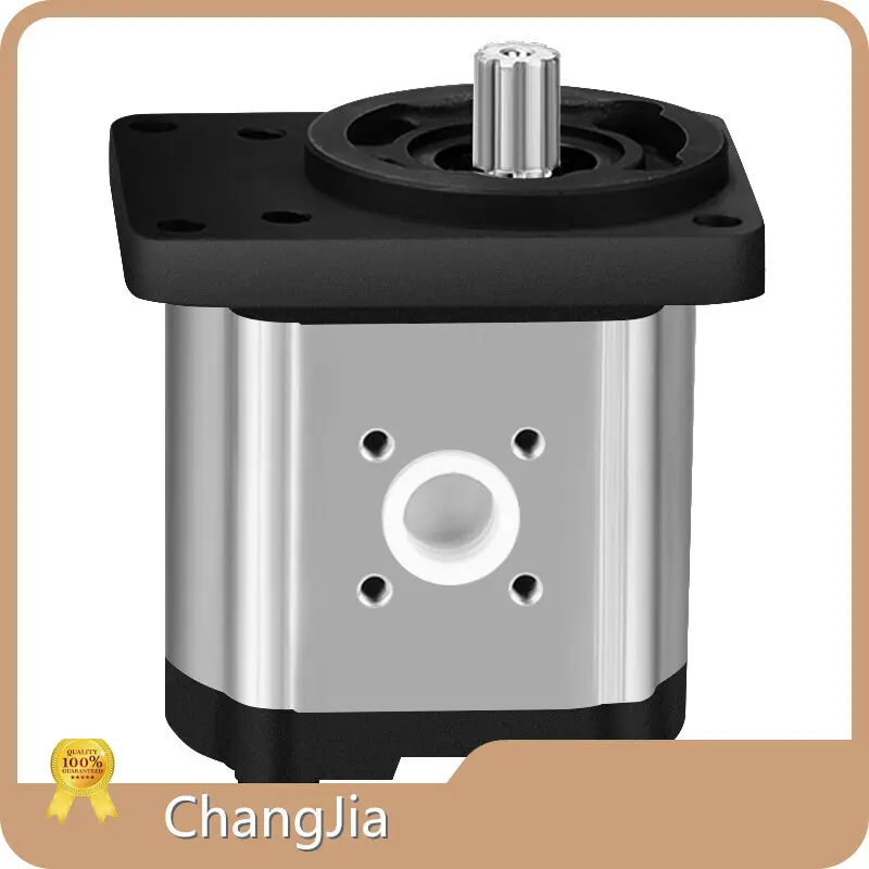 Gear Pump Supplier​ Gear Pump Wholesale - ChangJia 1