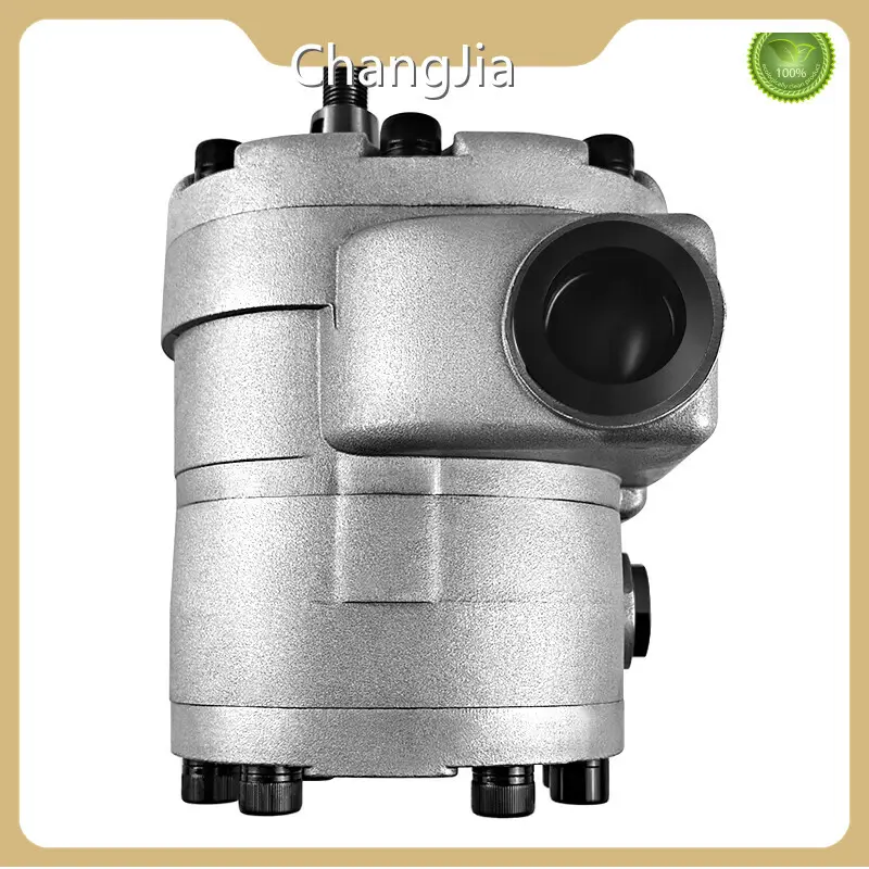 Hydraulic Pump Manufacturer in China​ Hydraulic Pump Wholesale - ChangJia-1 1