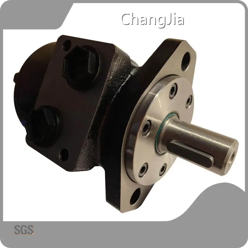 Hydraulic Motor China Low Speed Hydraulic Motor Manufacturer​ Supplier 1