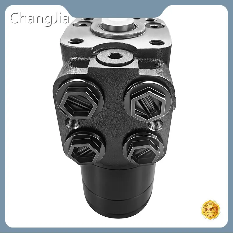 Custom Hydraulic Pumps Hydraulic Pump Wholesale - ChangJia 1