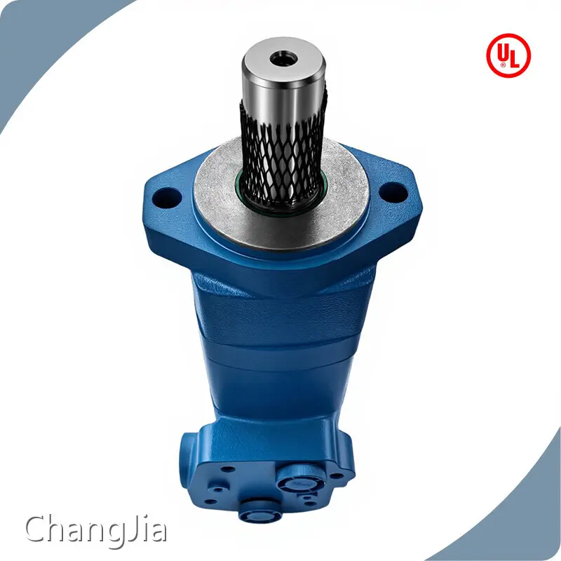 China Low Speed Hydraulic Motor Supplier​ Products Wholesale - ChangJia 1
