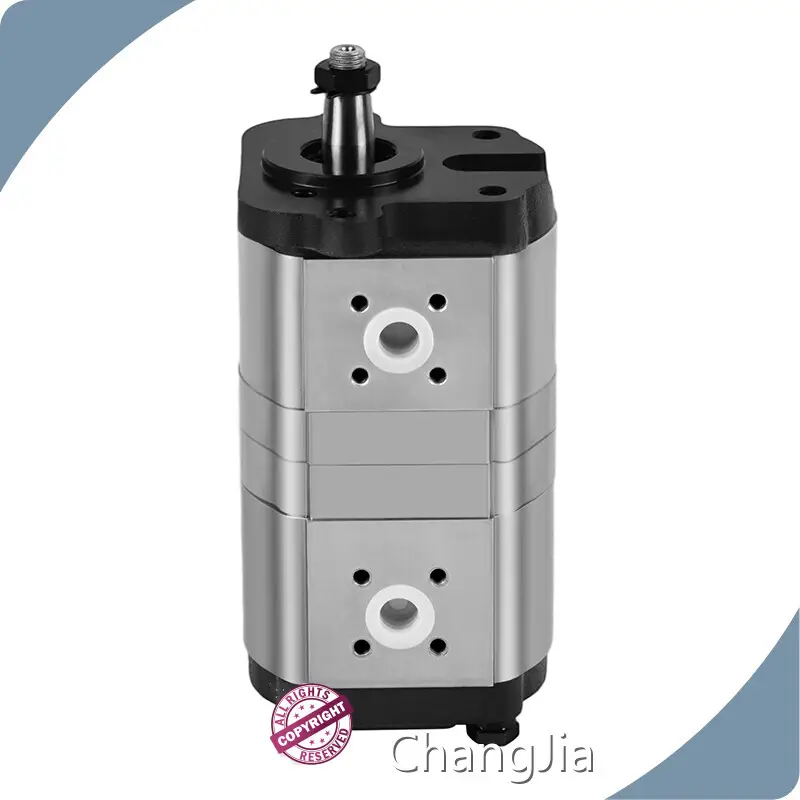 Best Hydraulic Gear Pump Manufacturer by ChangJia 1