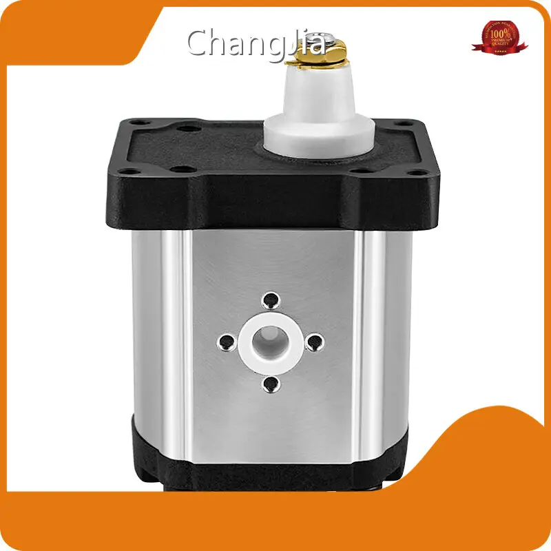 Hydraulic Gear Pump Supplier in China​ Gear Pump Wholesale - ChangJia 1