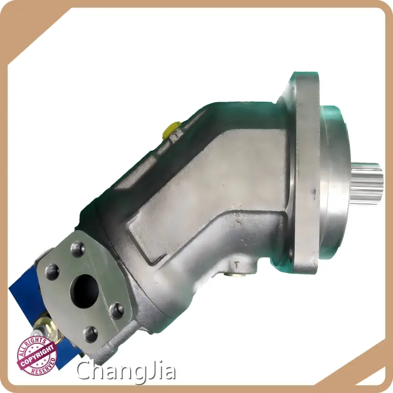Industrial Hydraulic Motor​ by ChangJia 1