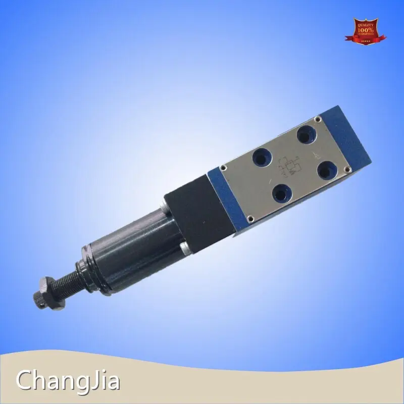 Hydraulic Relief Valve​ by ChangJia 1
