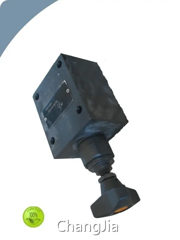 Custom Hydraulic Pressure Valve Company 1