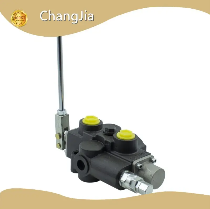 China Hydraulic Relief Valve Manufacturer​ by ChangJia 1
