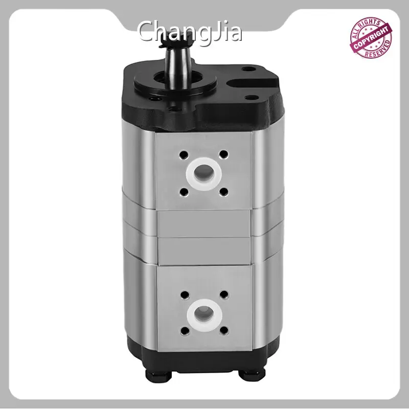 Best Hydraulic Gear Pump Manufacturer Hydraulic Pump Wholesale - ChangJia 1