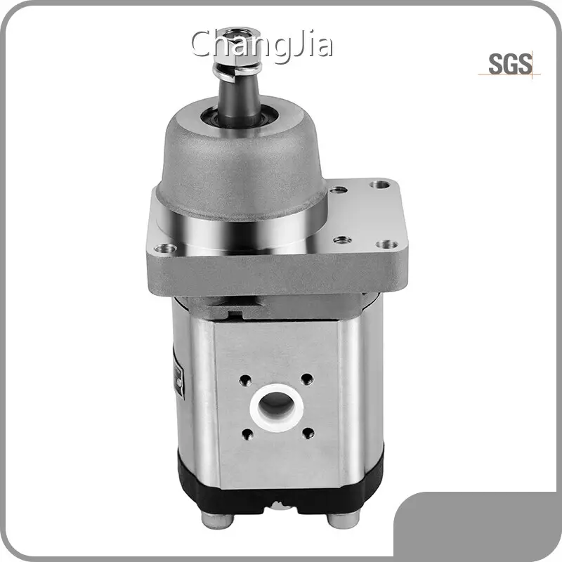 Best Gear Pump Manufacturer Gear Pump Wholesale - ChangJia 1
