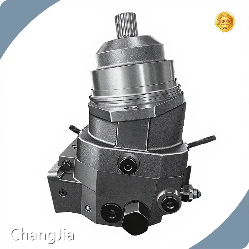 ChangJia Piston Motor for Sale 1