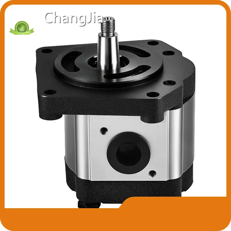 ChangJia Wholesale Gear Pump Supplier​ with Good Price 1