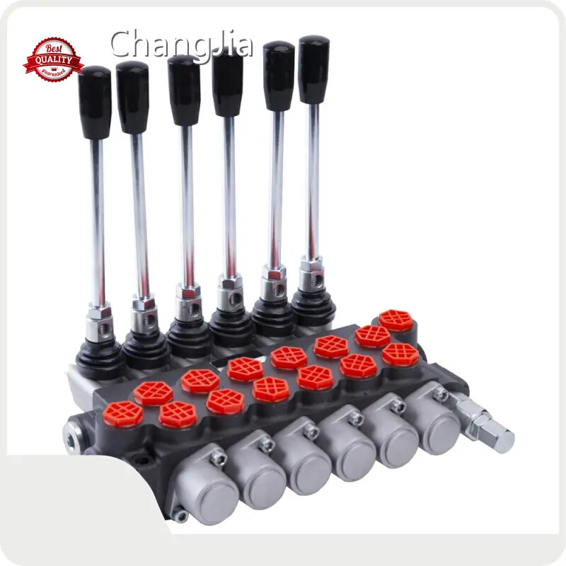 China Directional Valves Supplier​ Directional Valves Wholesale - ChangJia 1
